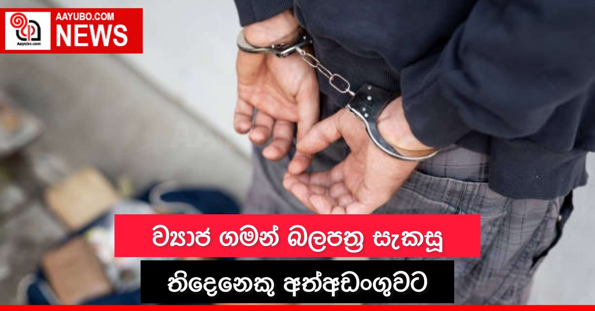 ව්‍යාජ ගමන් බලපත්‍ර සැකසූ තිදෙනකු අත්අඩංගුවට