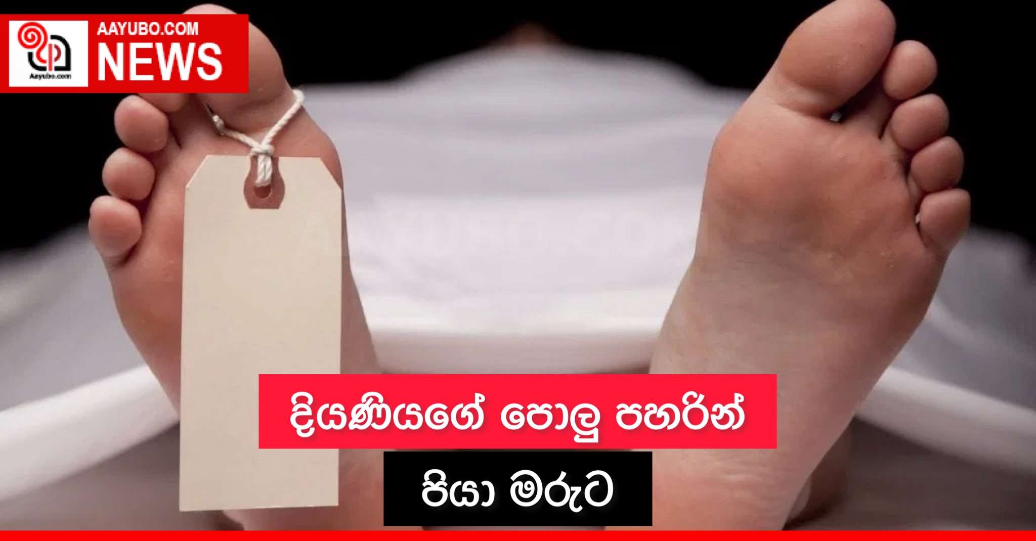 දියණියගේ පොලු පහරින් පියා මරුට