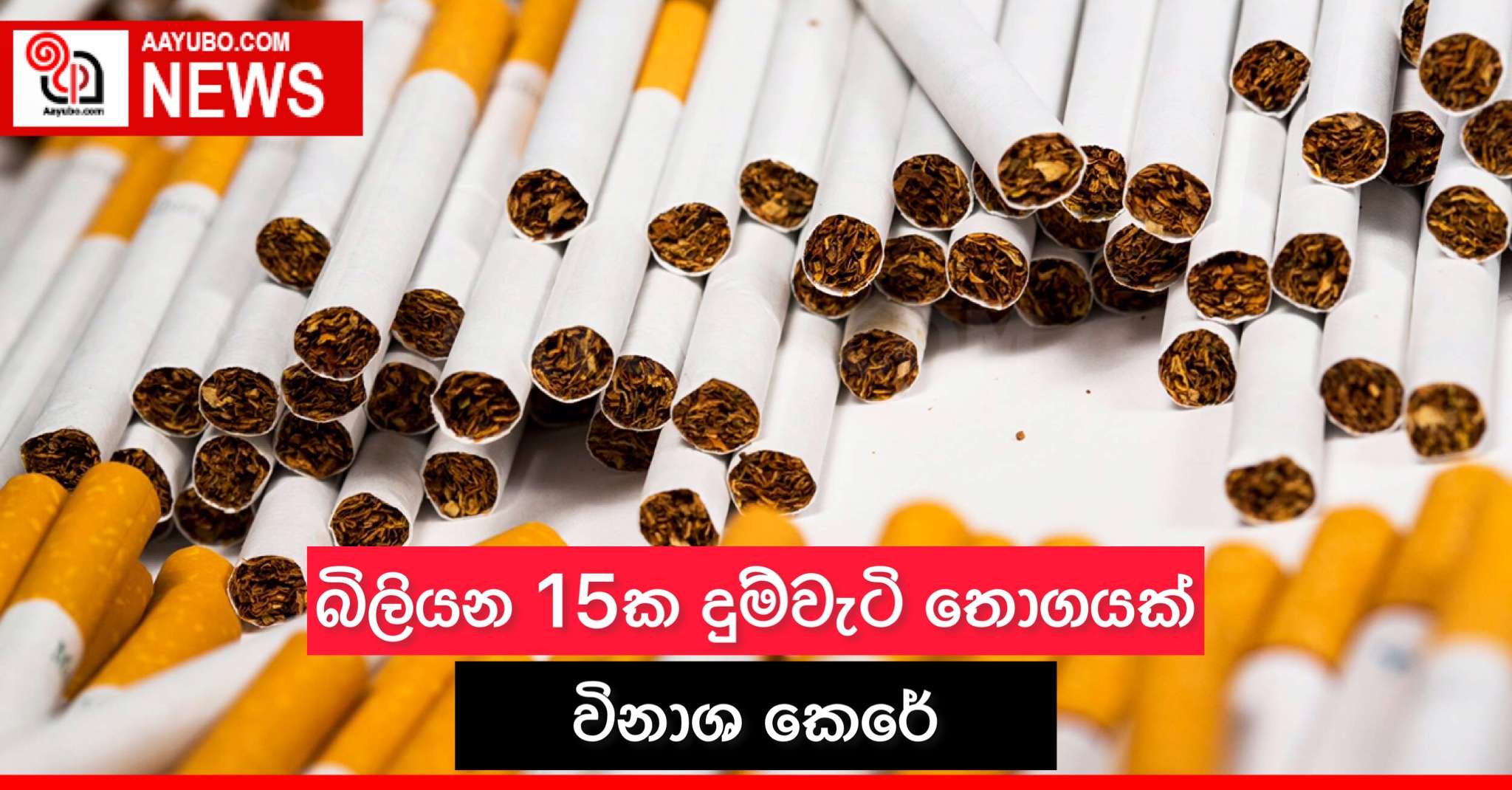 බිලියන 15ක දුම්වැටි තොගයක් විනාශ කෙරේ
