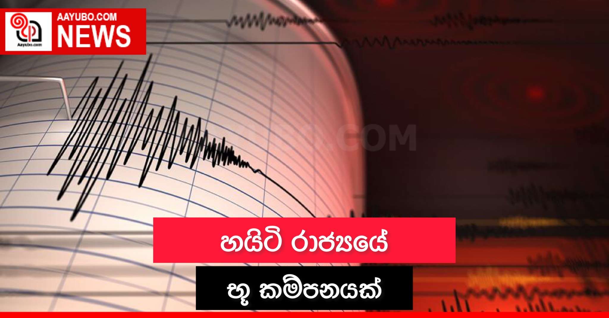 හයිටි රාජ්‍යයේ භූ කම්පනයක් 