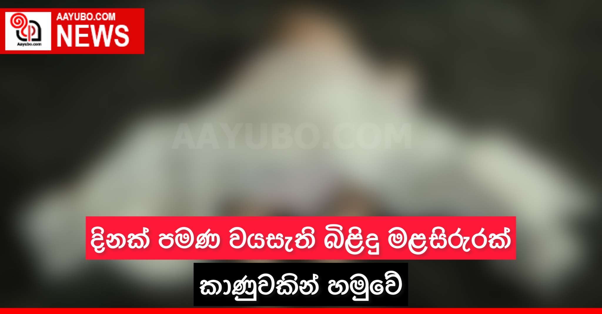 දිනක් පමණ වයසැති බිළිඳු මළ සිරුරක් කාණුවකින් හමුවේ