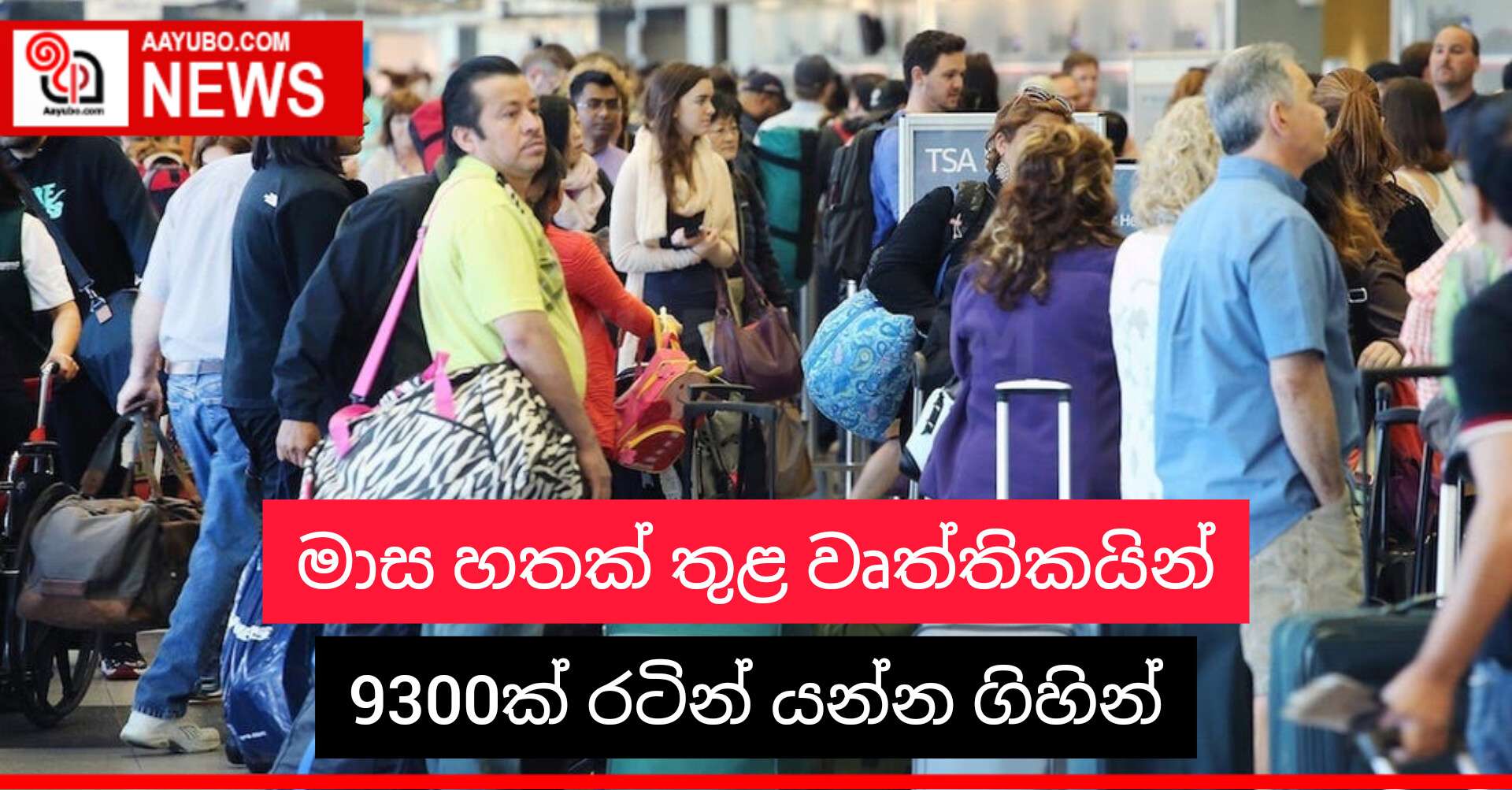 මාස හතක් තුළ විද්වත් වෘත්තිකයින් 9300ක් රටින් යන්න ගිහින්