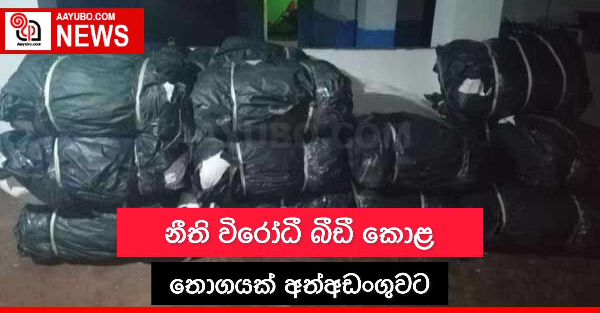 නීති විරෝධී බීඩී කොළ තොගයක් අත්අඩංගුවට 