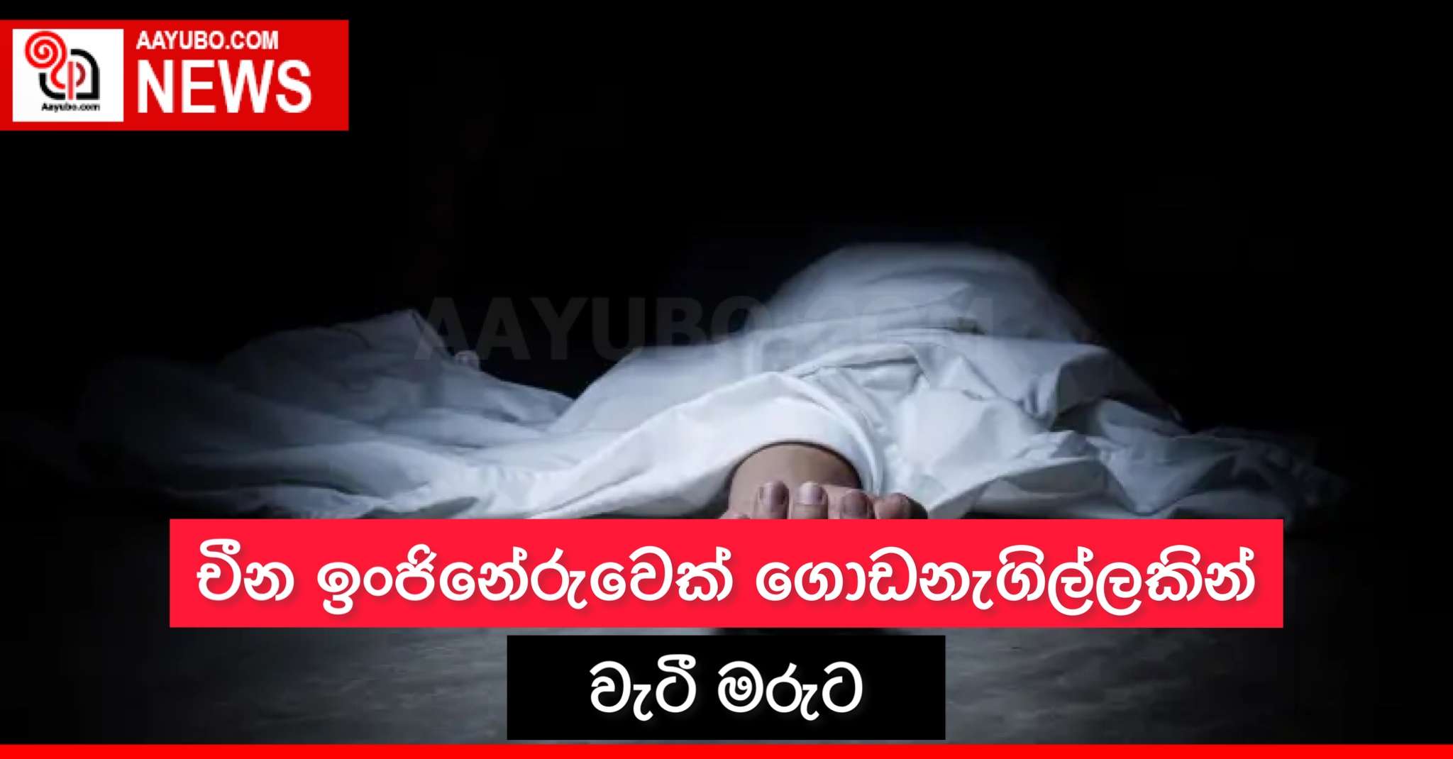 චීන ඉංජිනේරුවෙක් ගොඩනැගිල්ලකින් වැටී මරුට
