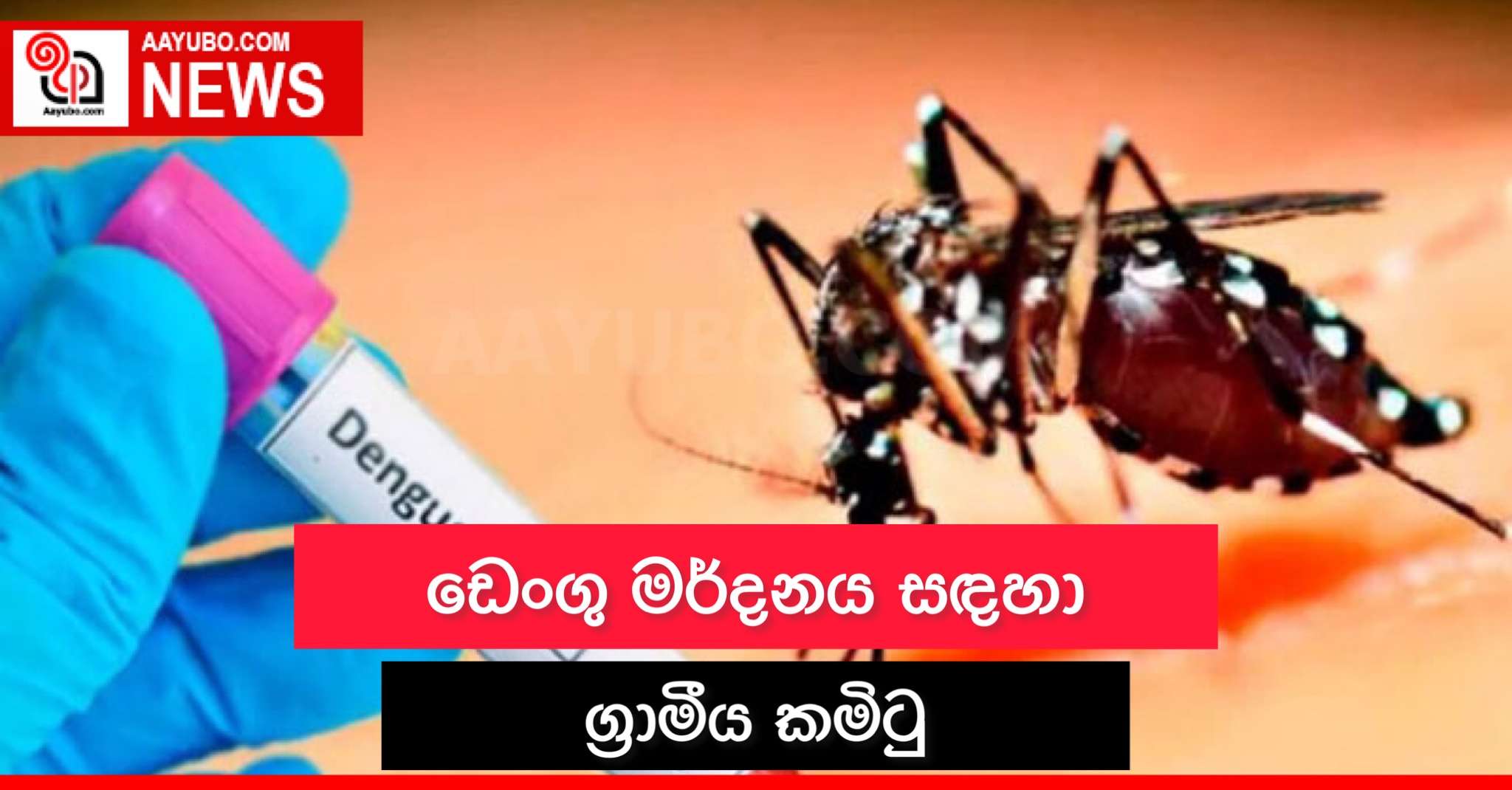ඩෙංගු මර්දනය සඳහා ග්‍රාමීය කමිටු