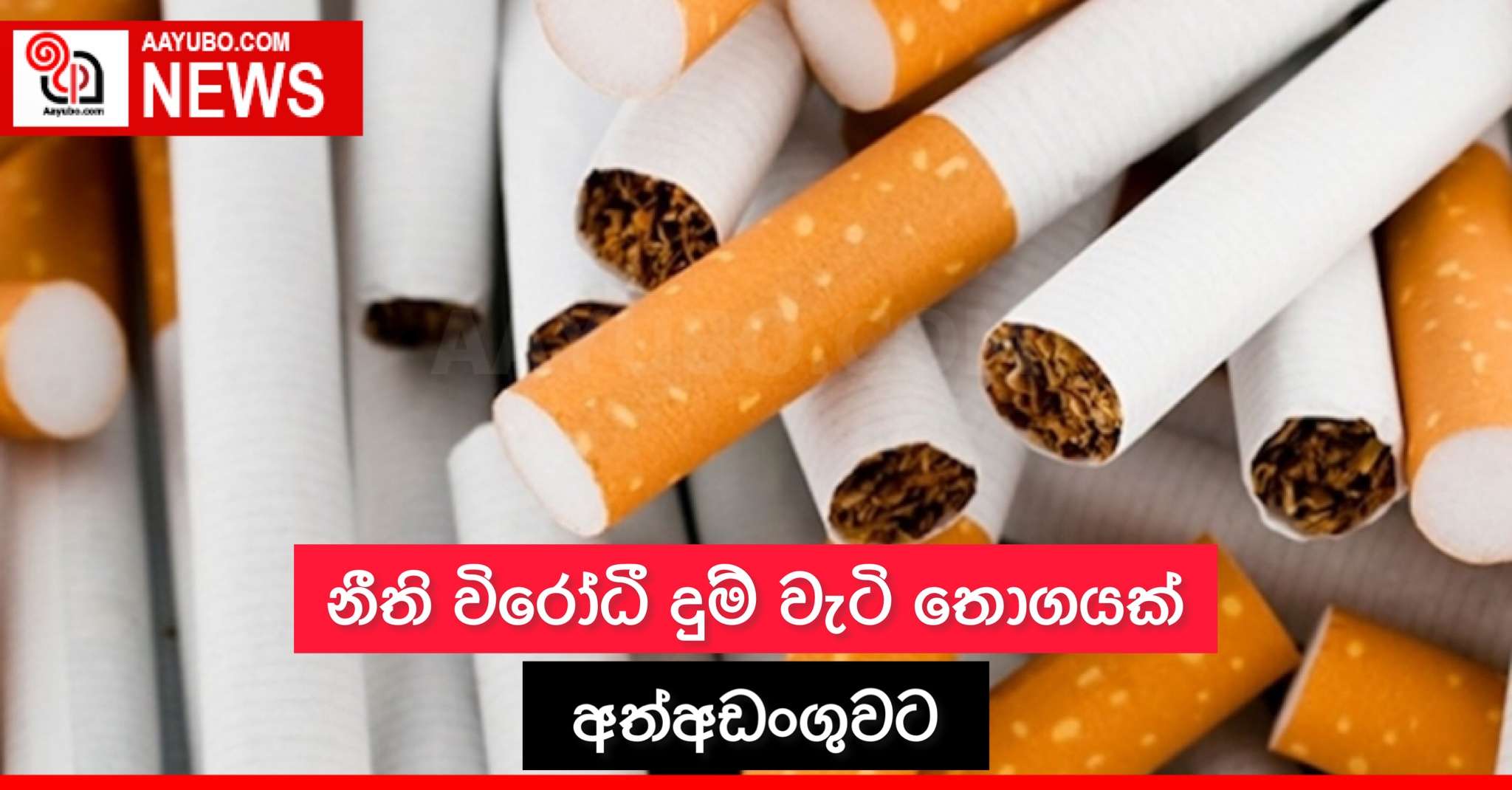නීති විරෝධී දුම්වැටි තොගයක් අත්අඩංගුවට