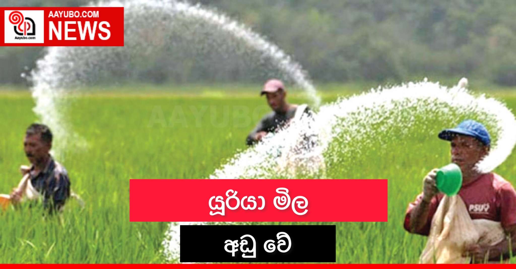 යුරියා මිල අඩු වේ