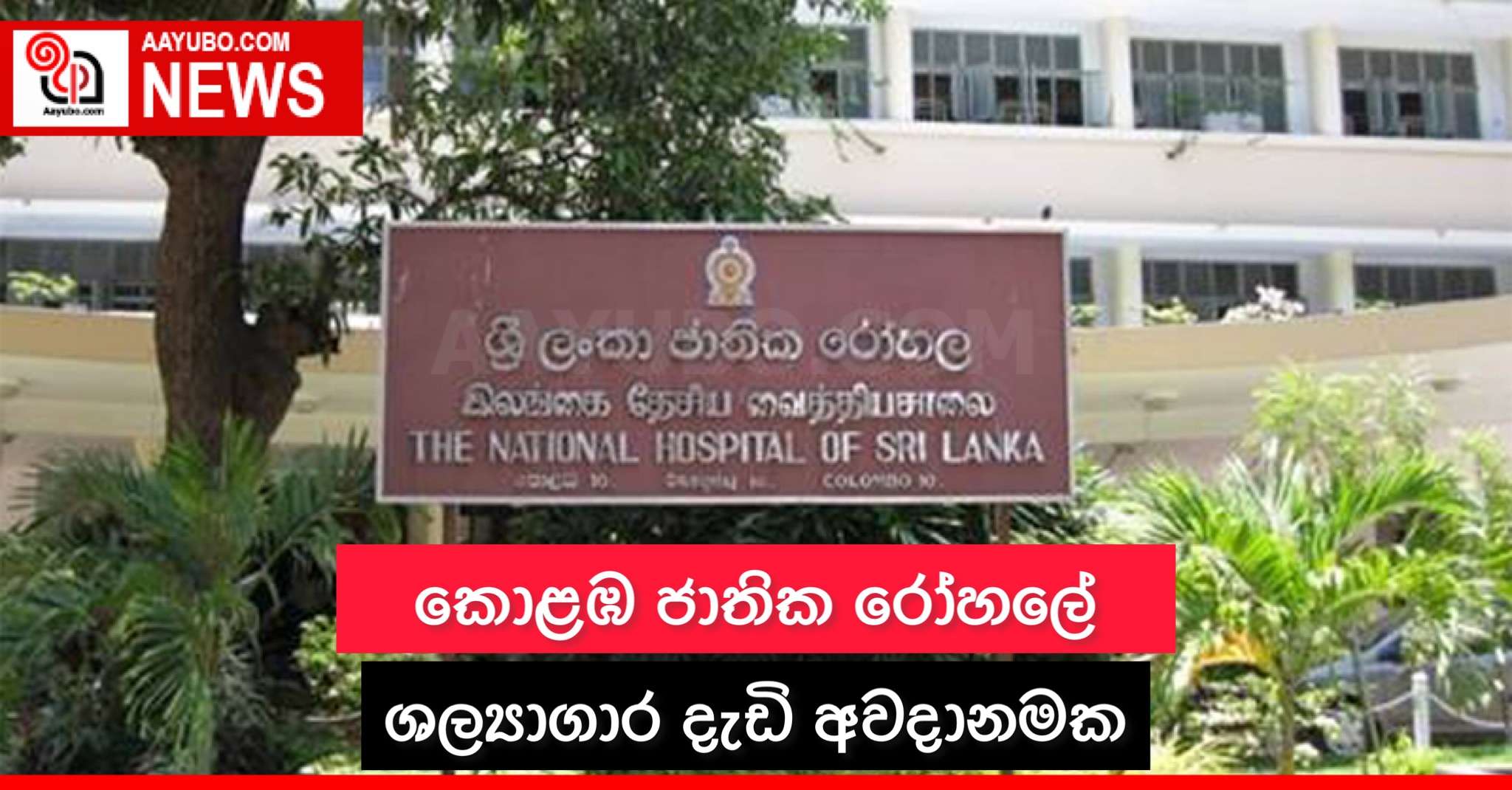 කොළඹ ජාතික රෝහලේ ශ්‍යල්‍යාගාර දැඩි අවදානමක