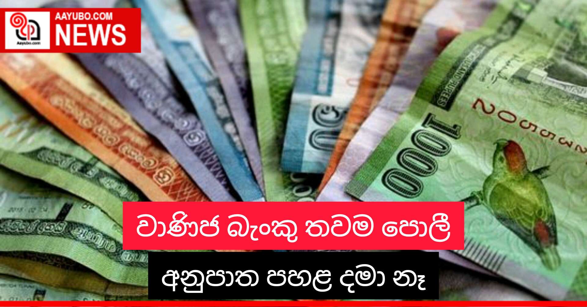 වාණිජ බැංකු තවම පොලී අනුපාත පහළ දමා නෑ