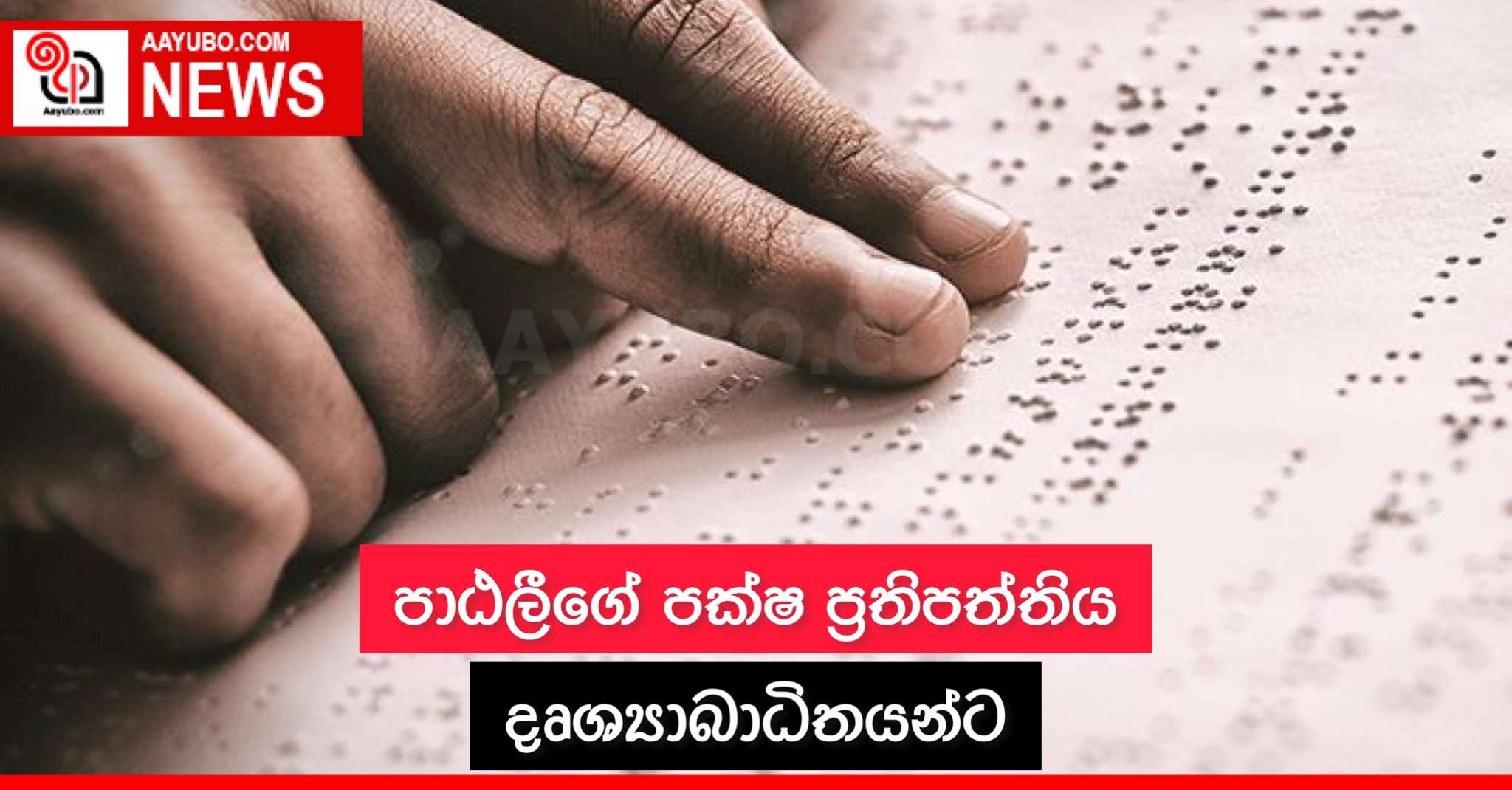 පාඨලීගේ පක්ශ ප්‍රතිපත්තිය දෘශ්‍යාබාධිතයන්ට