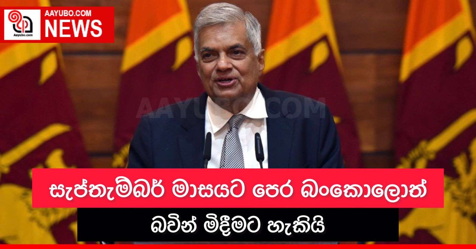 සැප්තැම්බර් මාසයට පෙර බංකොලොත් බවින් මිදීමට හැකියි