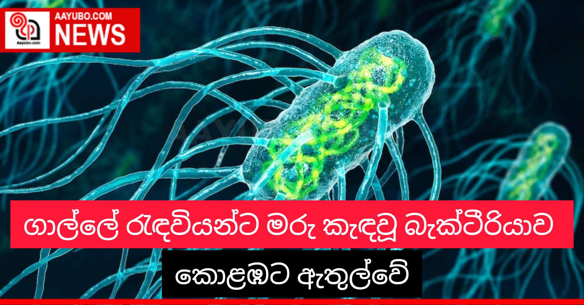 ගාල්ලේ රැඳවියන්ට මරු කැඳවූ බැක්ටීරියාව කොළඹට ඇතුල්වේ