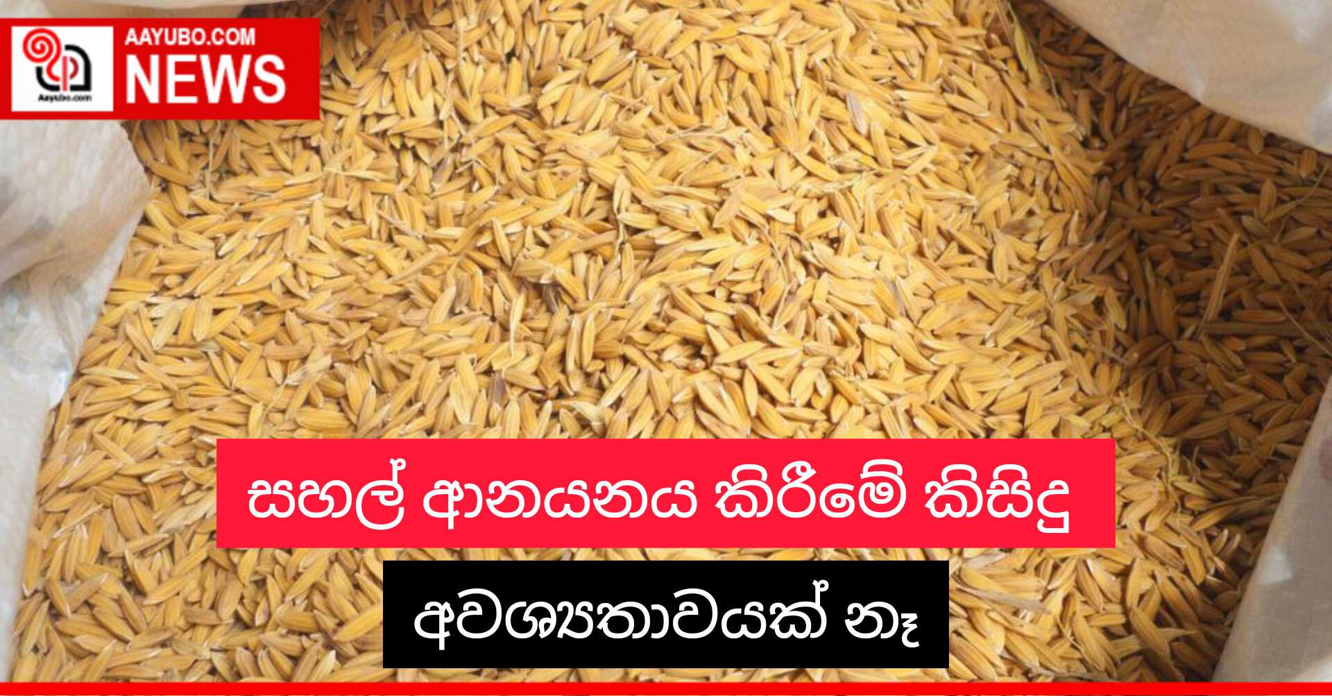 සහල් ආනයනය කිරීමේ කිසිදු අවශ්‍යතාවයක් නෑ
