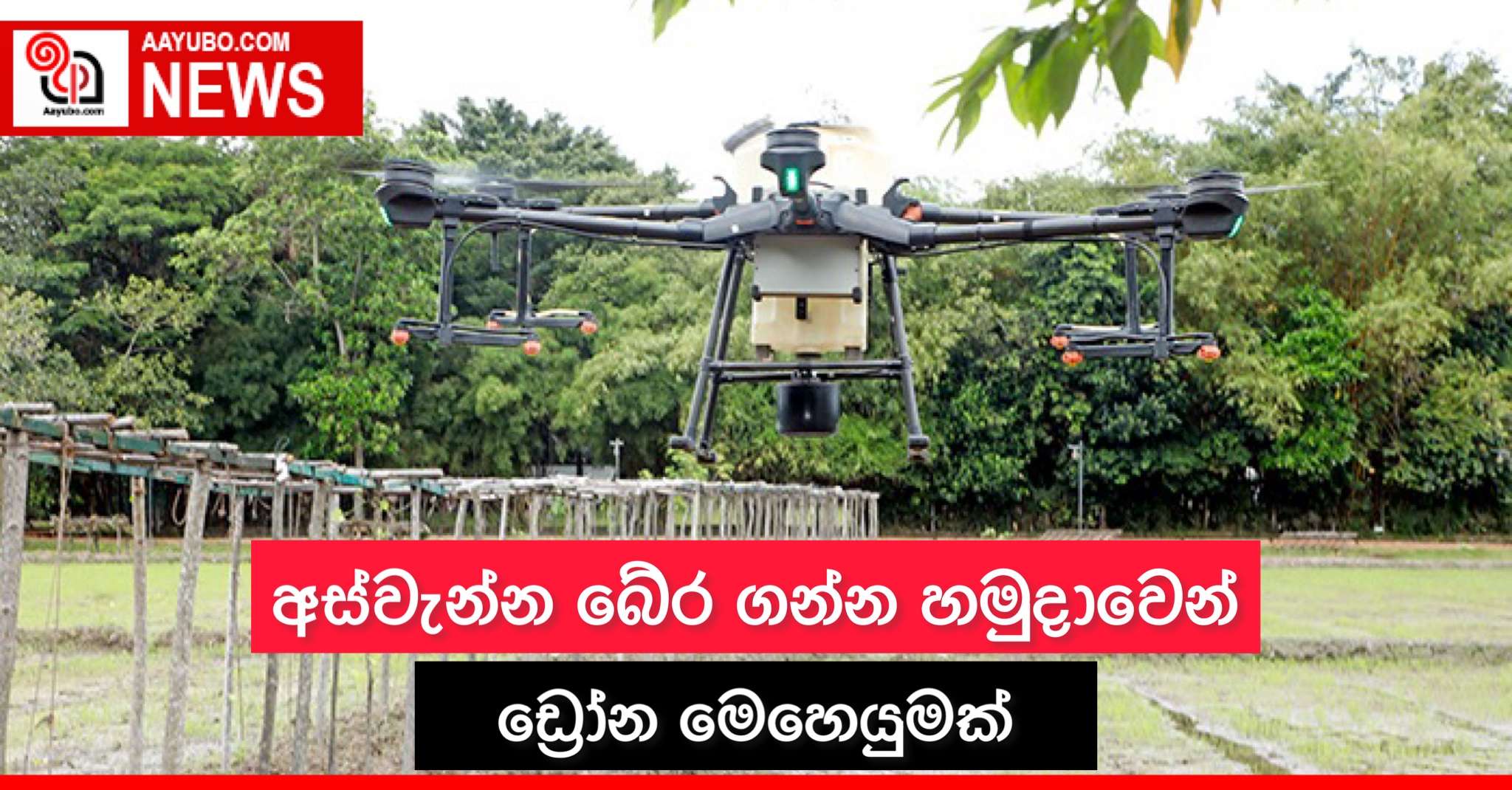 අස්වැන්න බේර ගන්න හමුදාවෙන් ඩ්‍රෝන මෙහෙයුමක් 