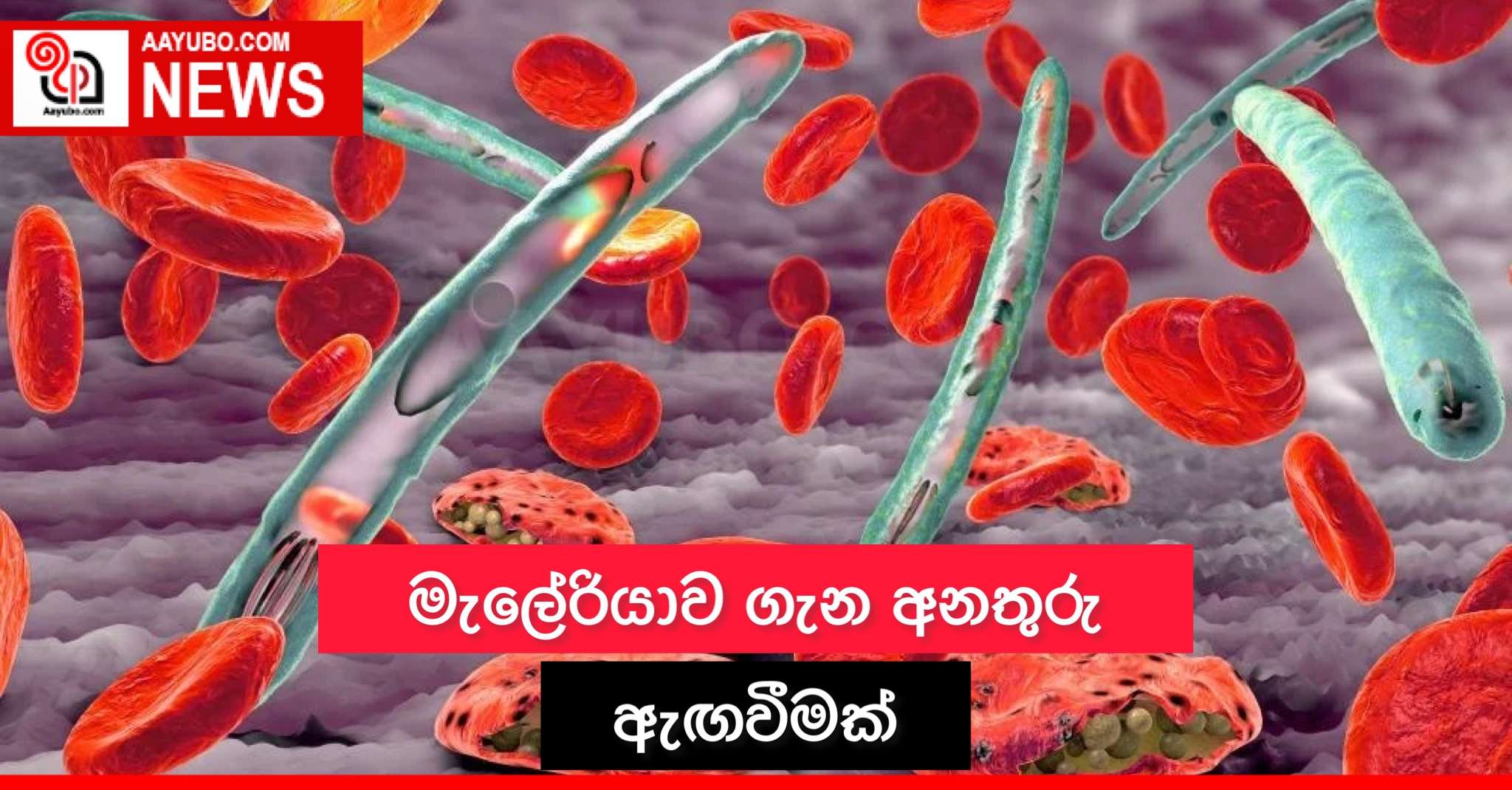 මැලේරියාව ගැන අනතුරු ඇඟවීමක්