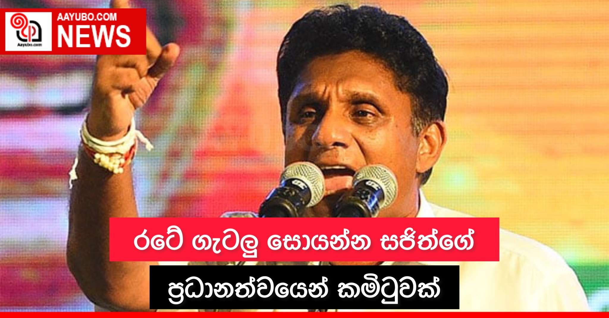 රටේ ගැටලු සොයන්න සජිත්ගේ ප්‍රධානත්වයෙන් කමිටුවක්