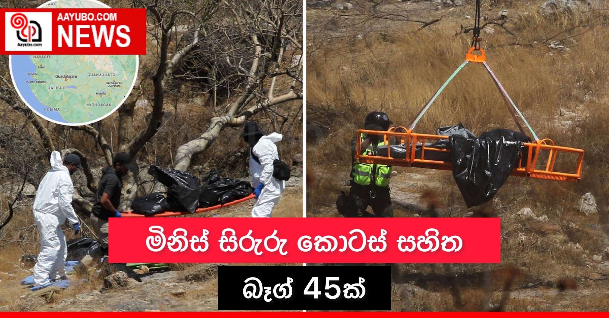 මිනිස් සිරුරු කොටස් සහිත බෑග් 45ක්