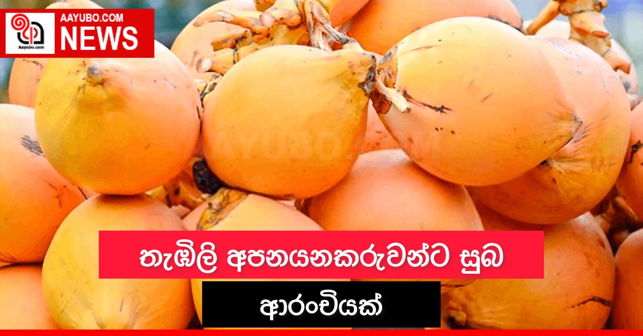 තැඹිලි අපනයනකරුවන්ට සුබ ආරංචියක්