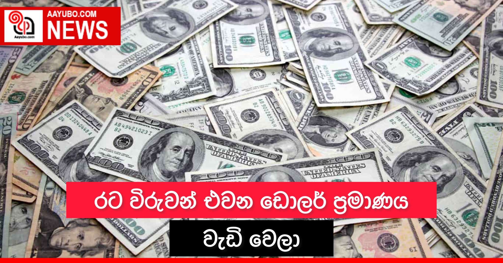 රට විරුවන් එවන ඩොලර් ප්‍රමාණය වැඩි වෙලා