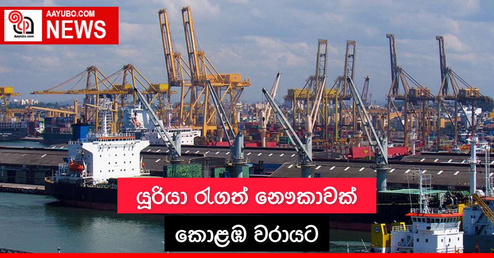 යූරියා රැගත් නෞකාවක් කොළඹ වරායට