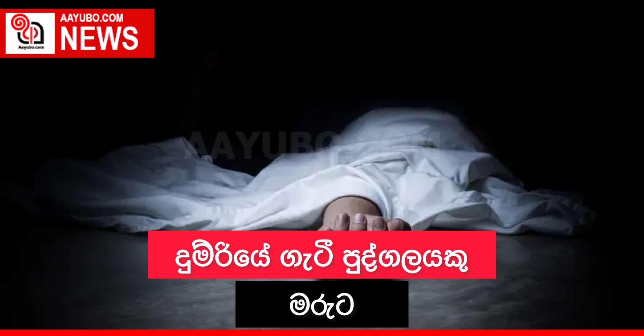 දුම්රියේ ගැටී පුද්ගලයෙකු මරුට