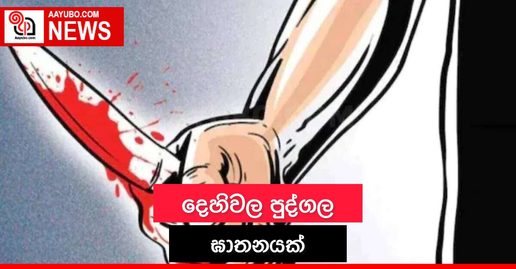 දෙහිවල පුද්ගල ඝාතනයක්