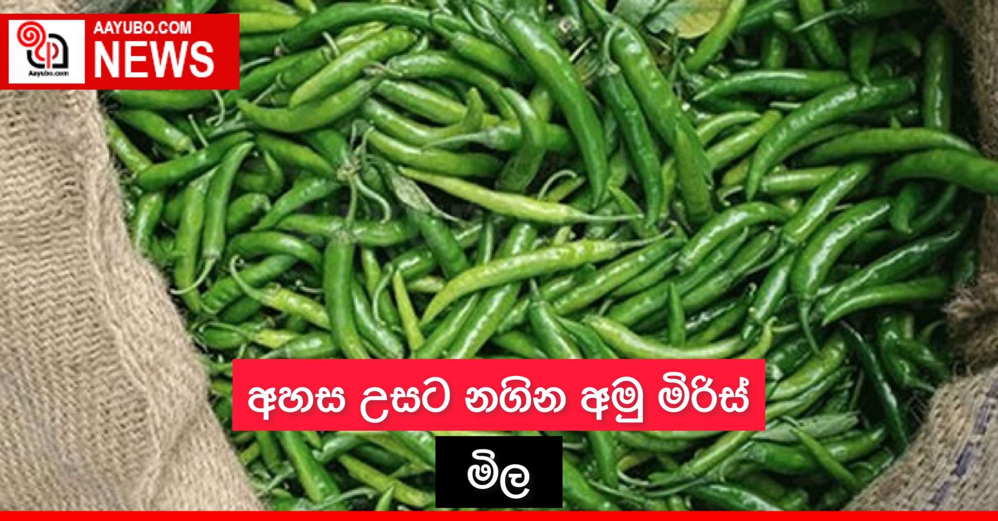 අහස උසට නගින අමු මිරිස් මිල