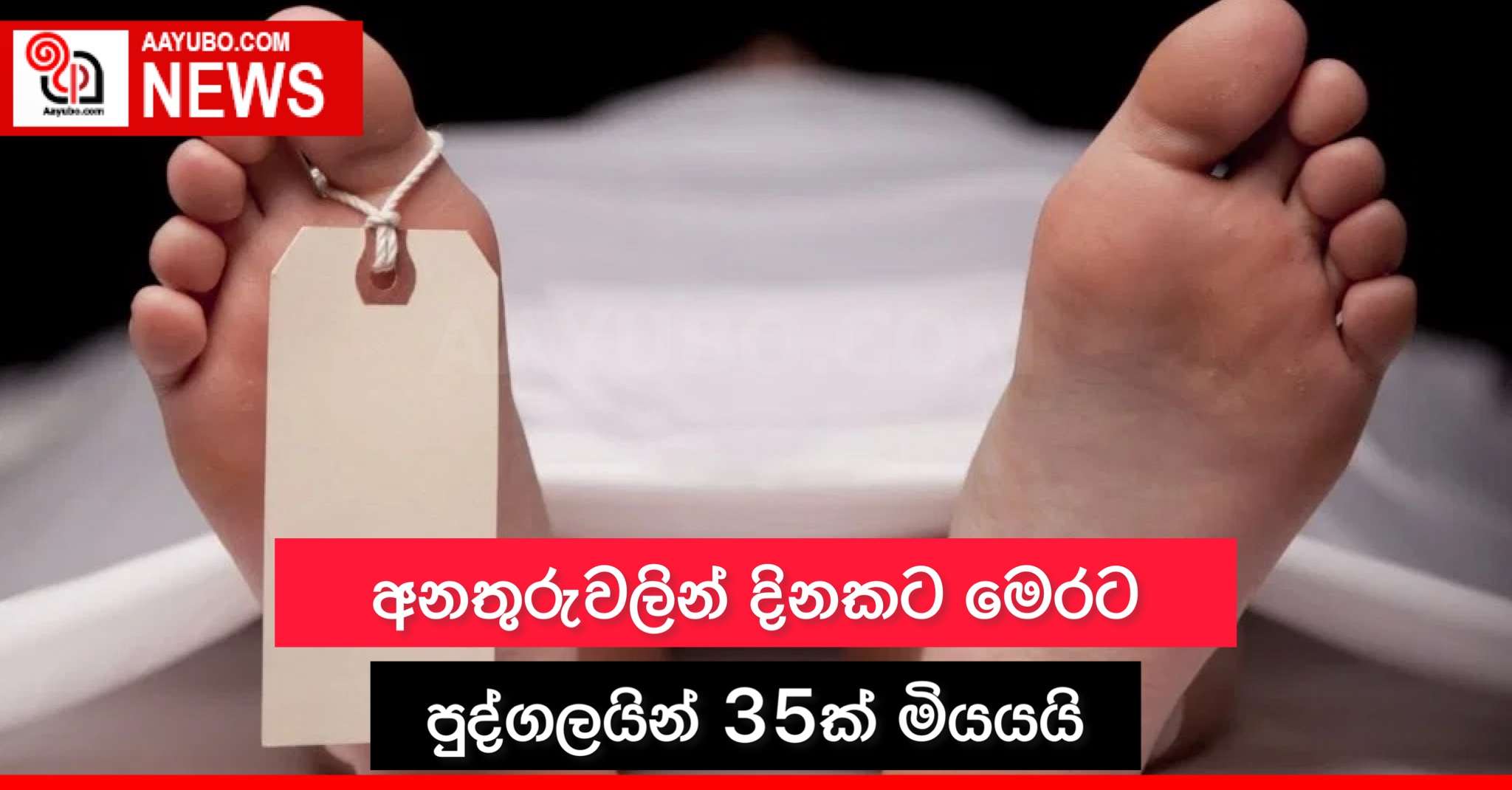 අනතුරුවලින් දිනකට මෙරට පුද්ගලයින් 35ක් මියයයි