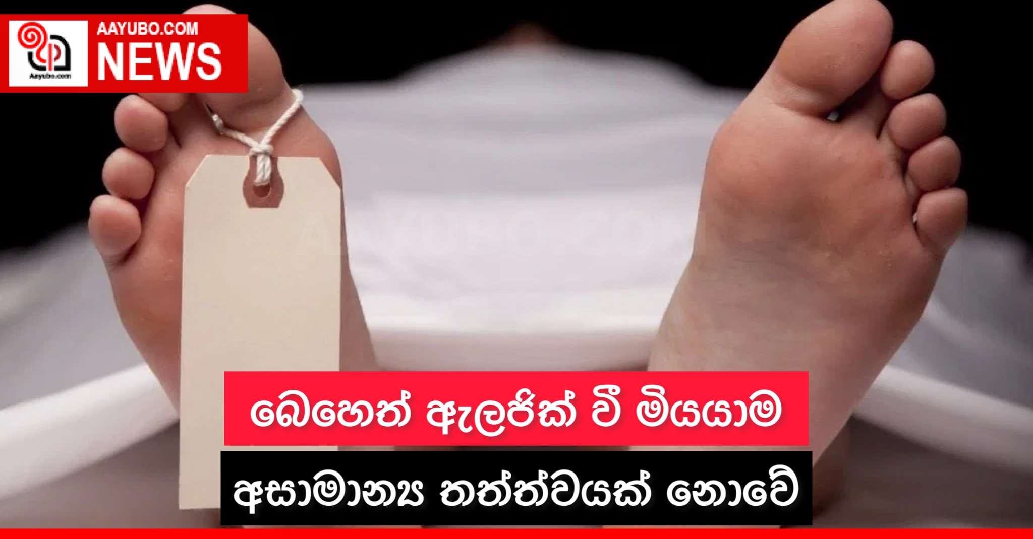 බෙහෙත් ඇලජික්වී මියයාම අසාමාන්‍ය තත්ත්වයක් නොවේ