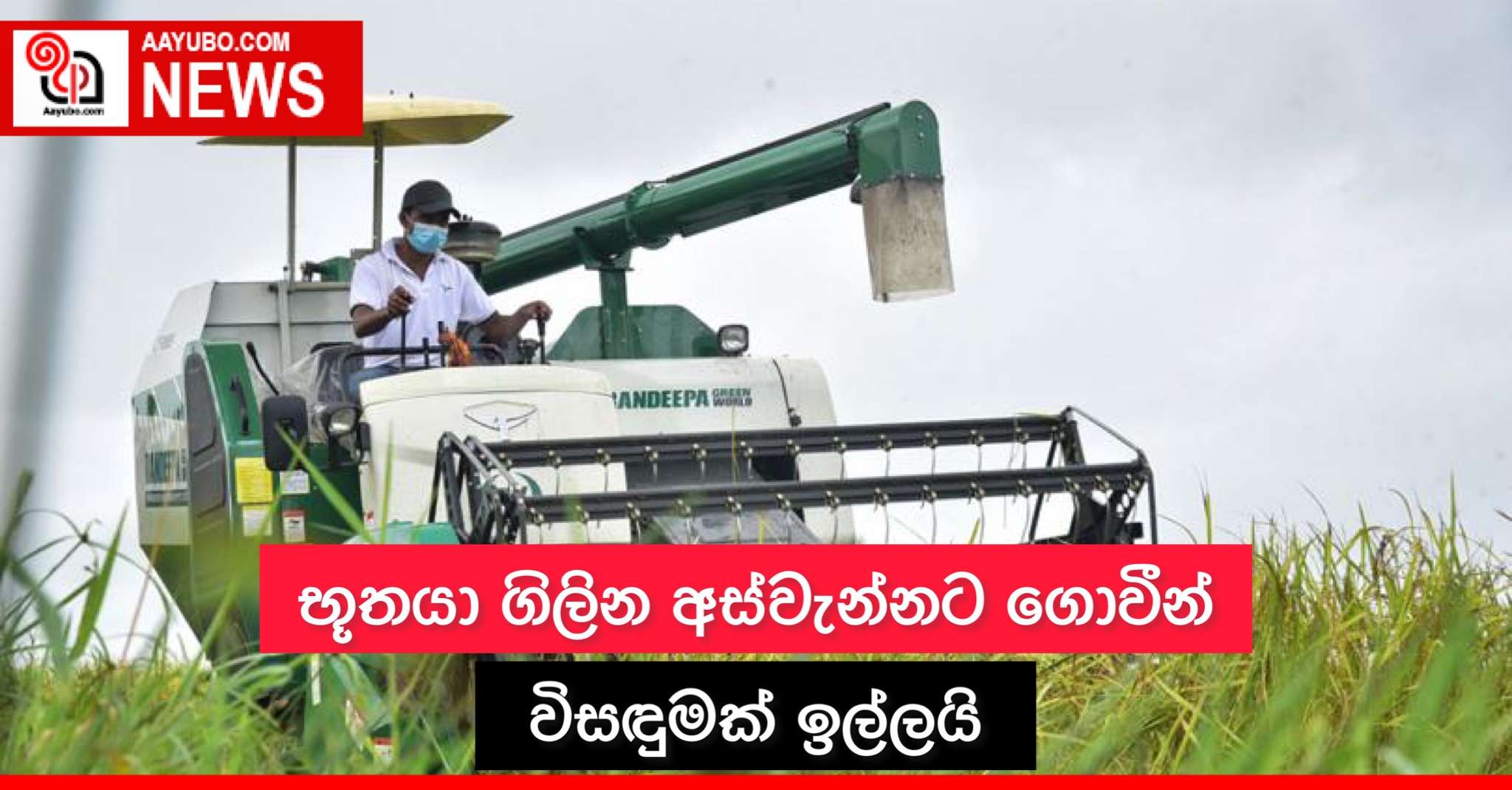 භූතයා ගිලින අස්වැන්නට ගොවීන් විසඳුමක් ඉල්ලයි