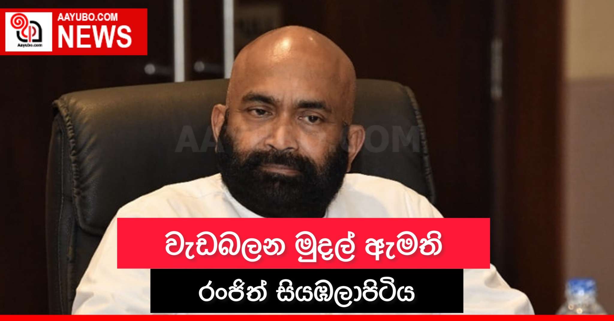 වැඩබලන මුදල් ඇමති