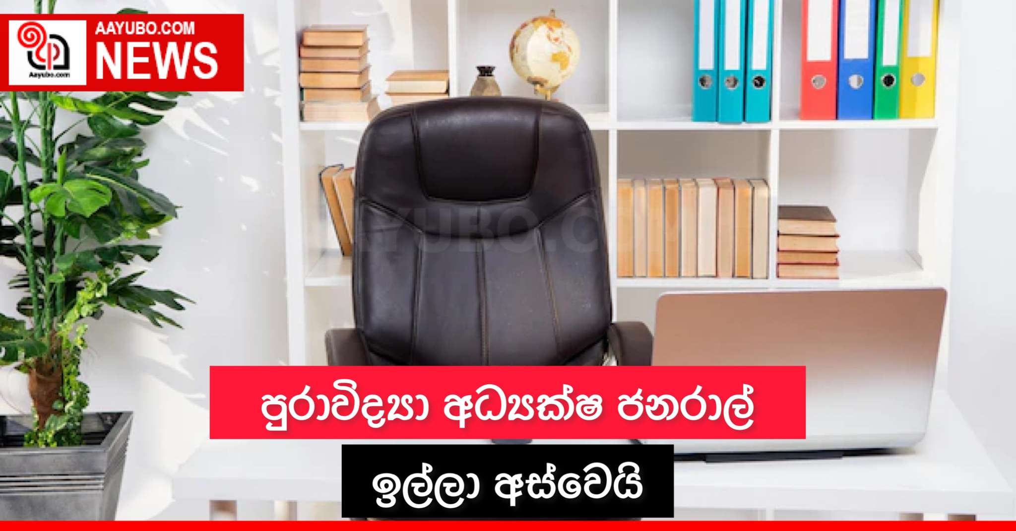 පුරාවිද්‍යා අධ්‍යක්ෂ ජනරාල් ඉල්ලා අස්වෙයි
