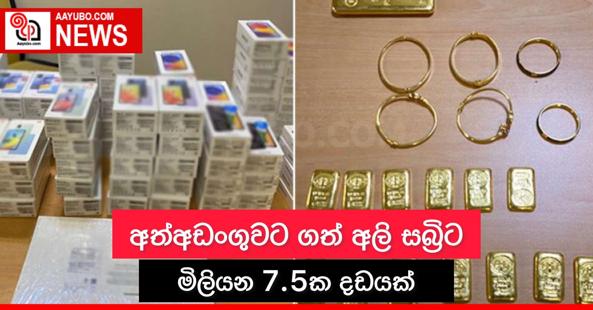 ‍අත්අඩංගුවට ගත් අලි සබ්‍රිට මිලියන 7.5ක දඩයක්