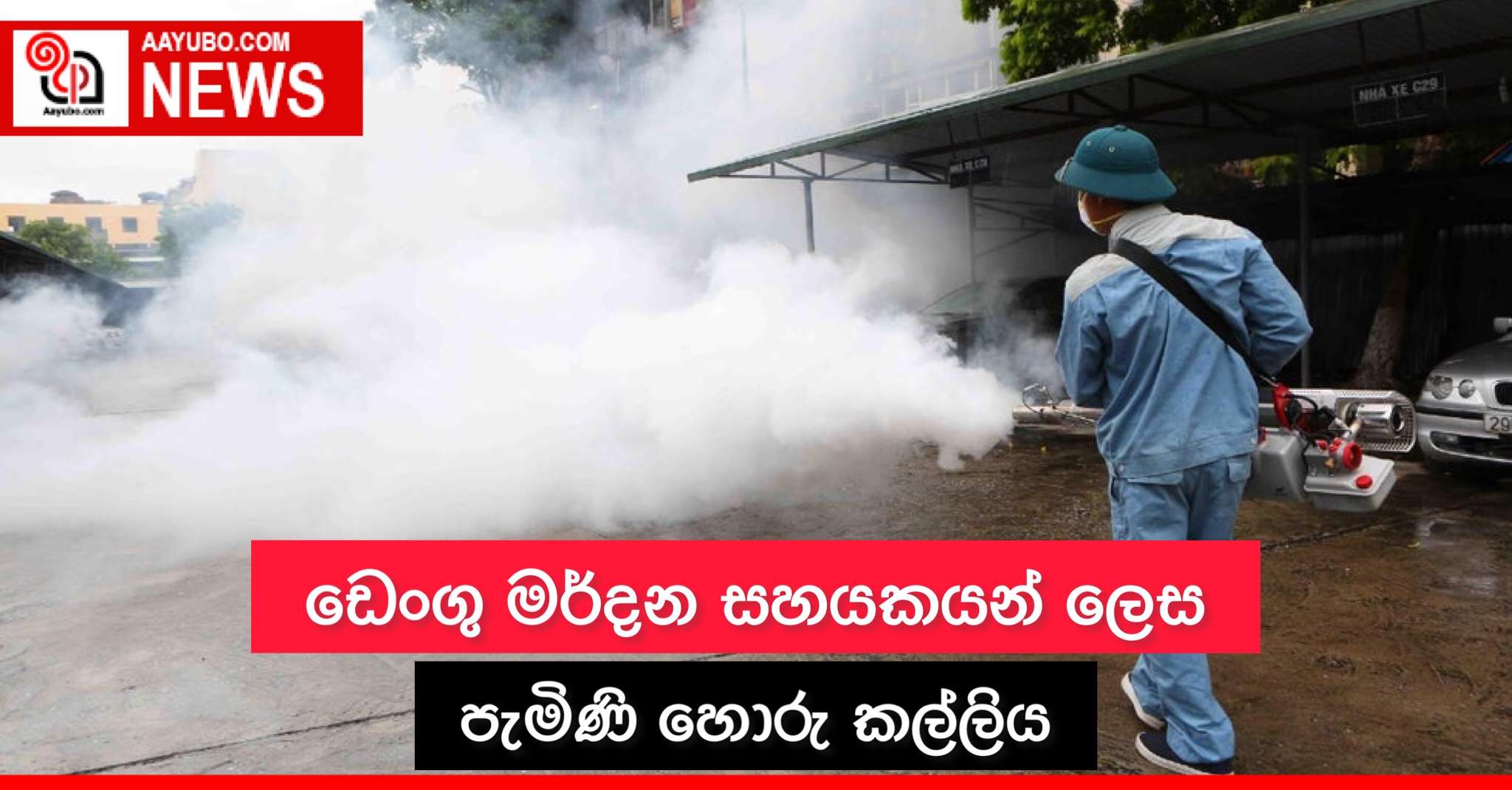ඩෙංගු මර්දන සහයකයන් ලෙස පැමිණි හොරු කල්ලිය