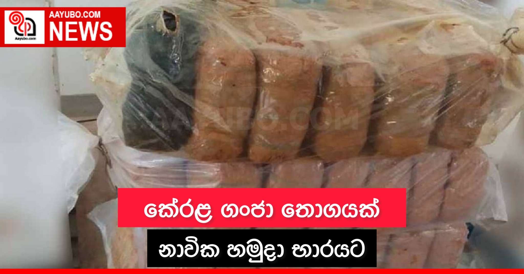 කේරළ ගංජා තොගයක් නාවික හමුදා භාරයට