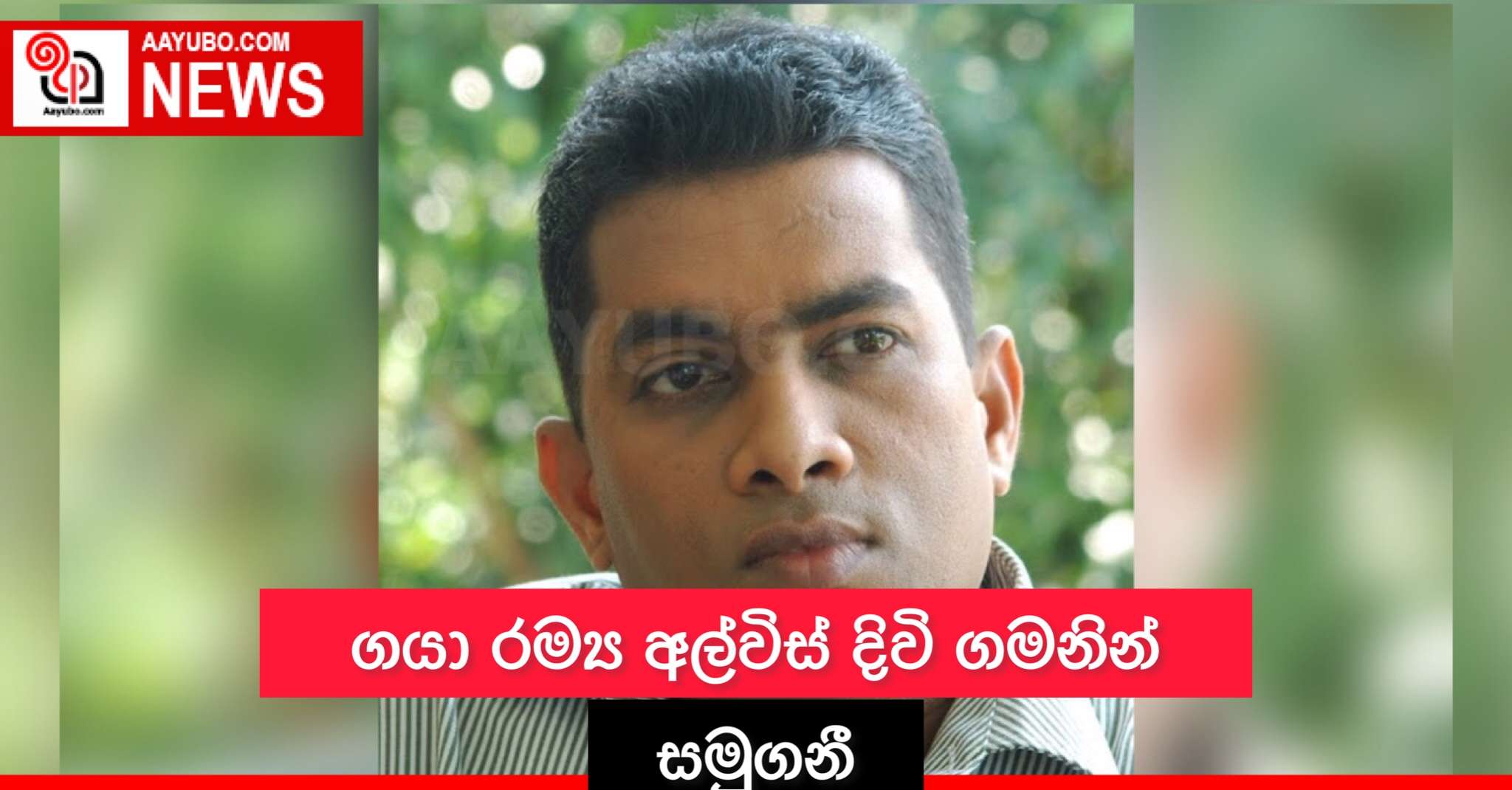 ගයා රම්‍ය අල්විස් දිවි ගමනින් සමුගනී