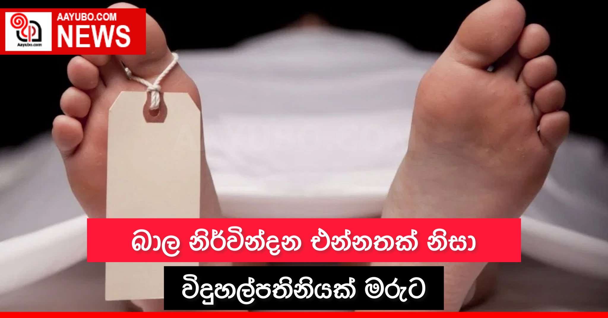 බාල නිර්වින්දන එන්නතක් නිසා විදුහල්පතිනියක් මරුට
