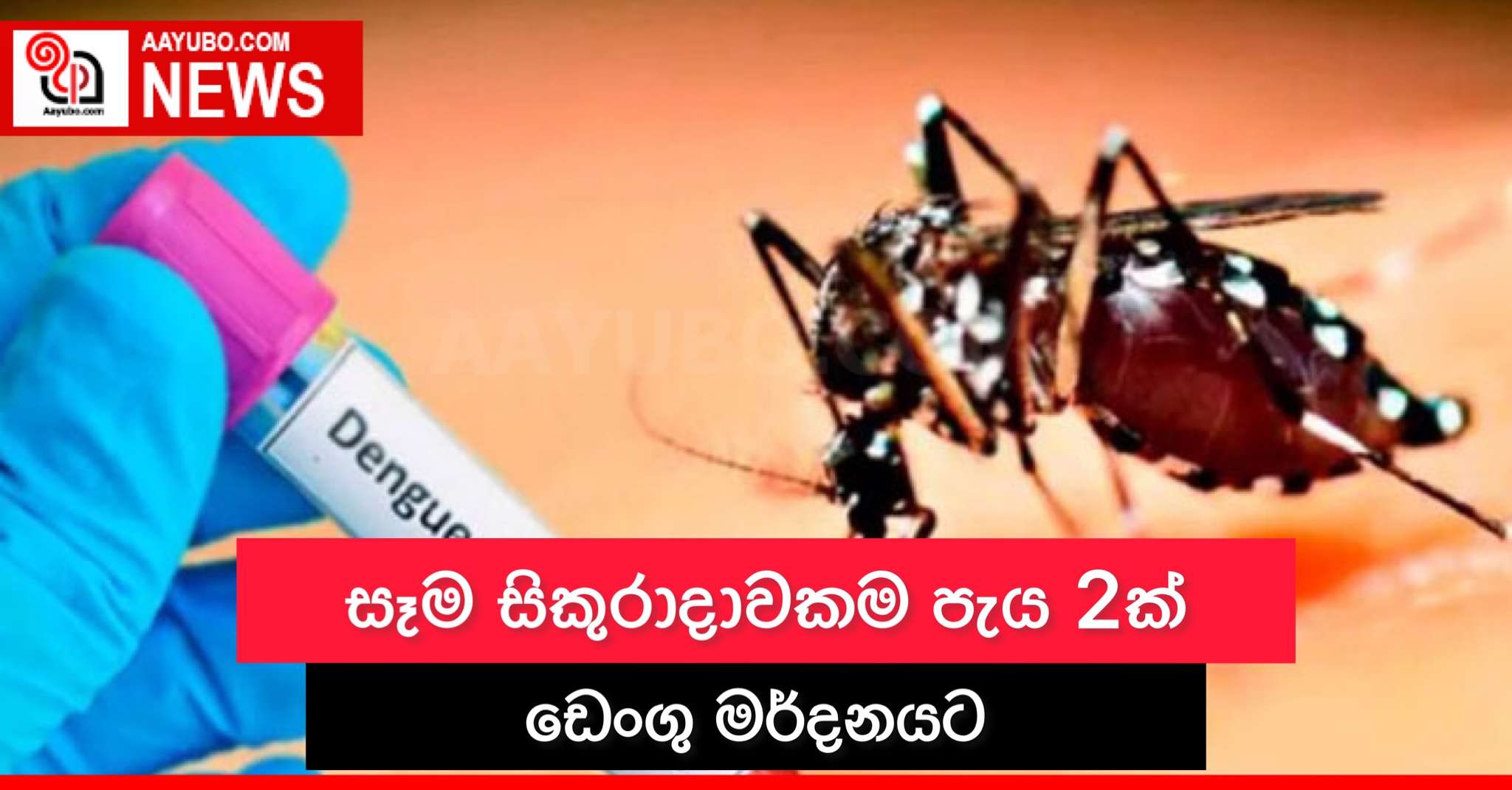 සෑම සිකුරාදාවකම පැය 2ක් ඩෙංගු මර්දනයට