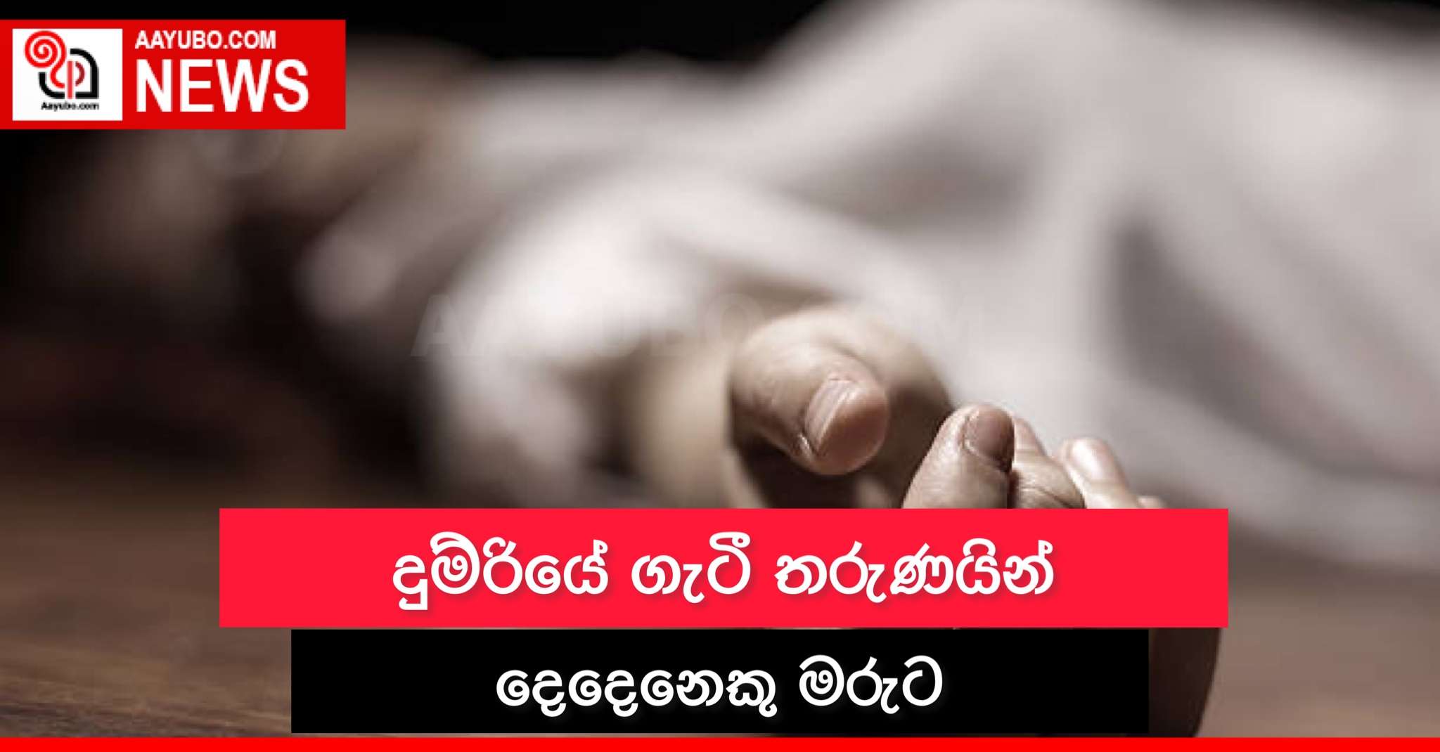 දුම්රියේ ගැටී තරුණයින් දෙදෙනෙකු මරුට