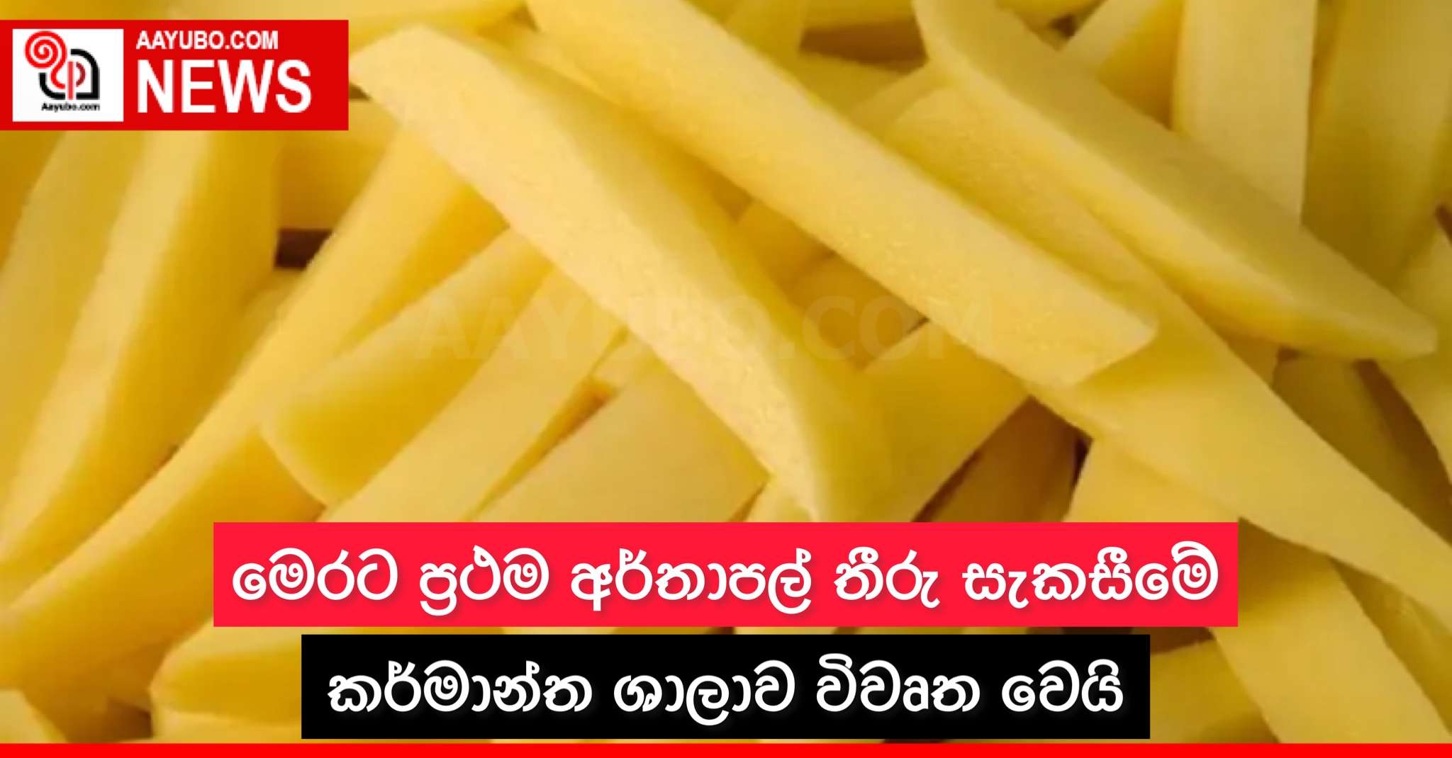 මෙරට ප්‍රථම අර්තාපල් තීරු සැකසීමේ කර්මාන්ත ශාලාව විවෘත වෙයි