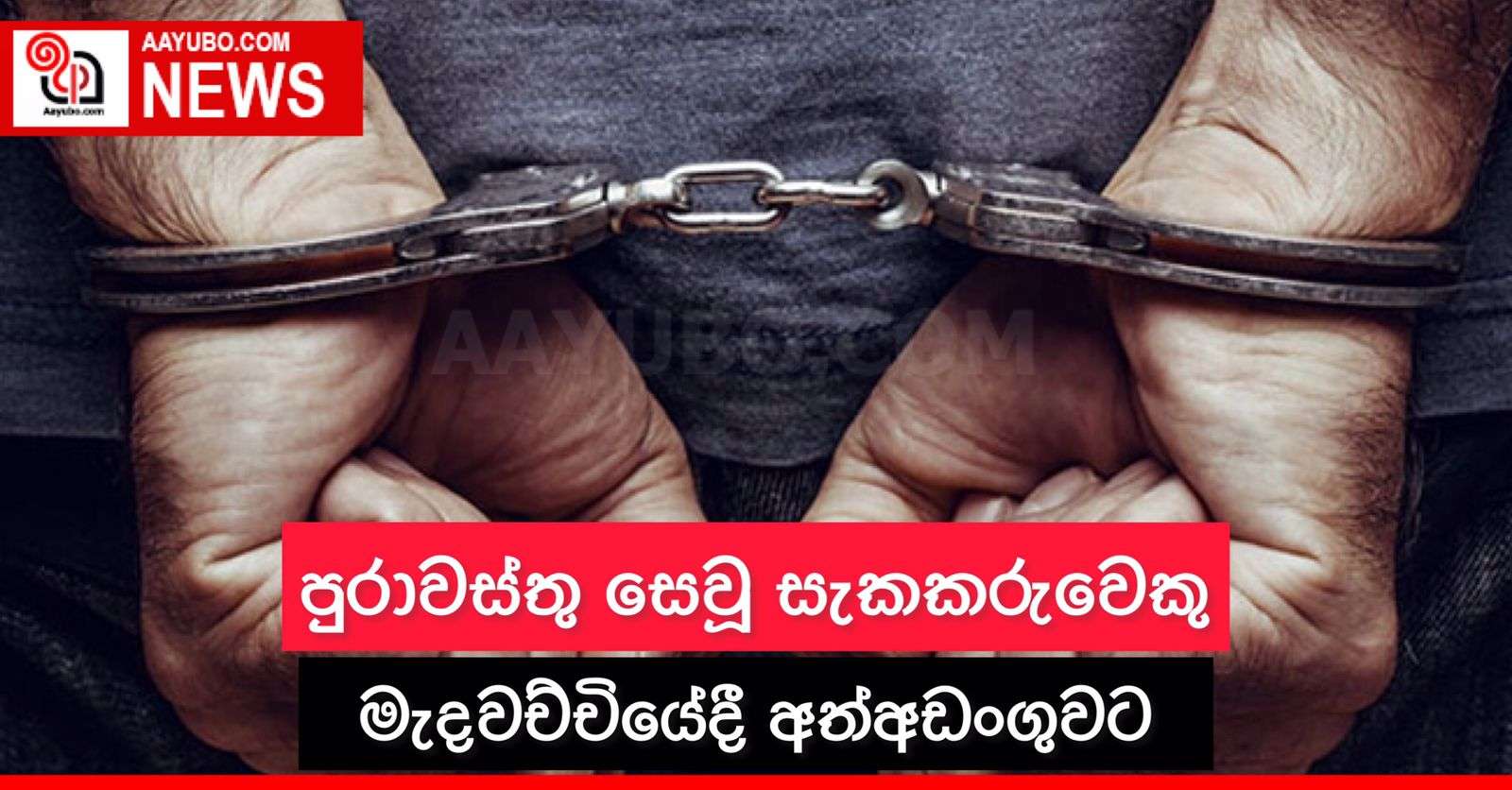 පුරාවස්තු සෙවූ සැකකරුවෙකු මැදවච්චියේදී අත්අඩංගුවට