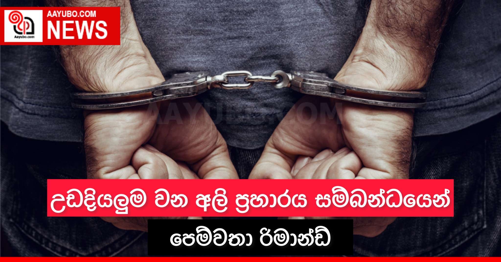 උඩදියලුම වන අලි ප්‍රහාරය සම්බන්ධයෙන් පෙම්වතා රිමාන්ඩ්