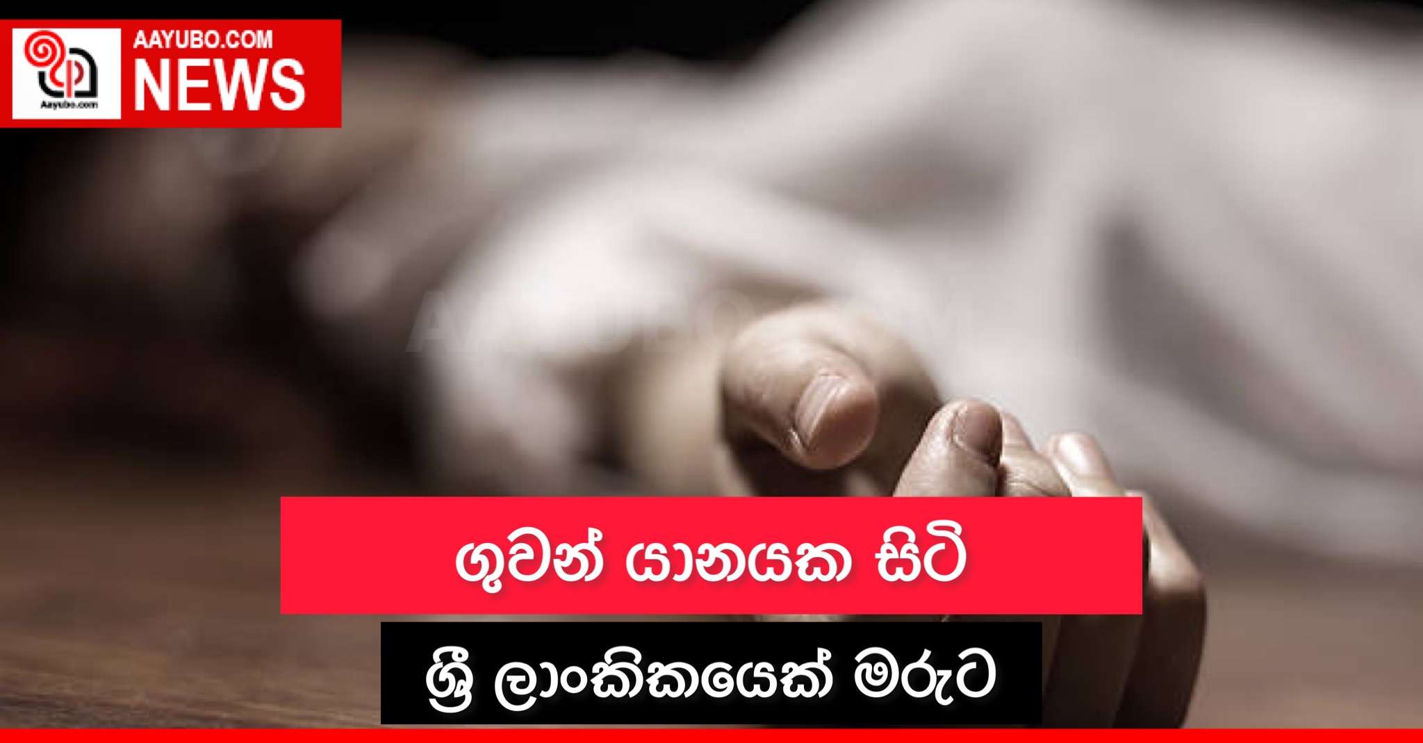 ගුවන් යානයක සිටි ශ්‍රී ලාංකිකයෙක් මරුට