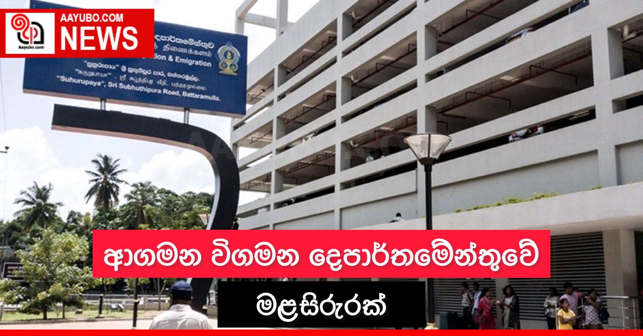 ආගමන විගමන දෙපාර්තමේන්තුවේ මළ සිරුරක්