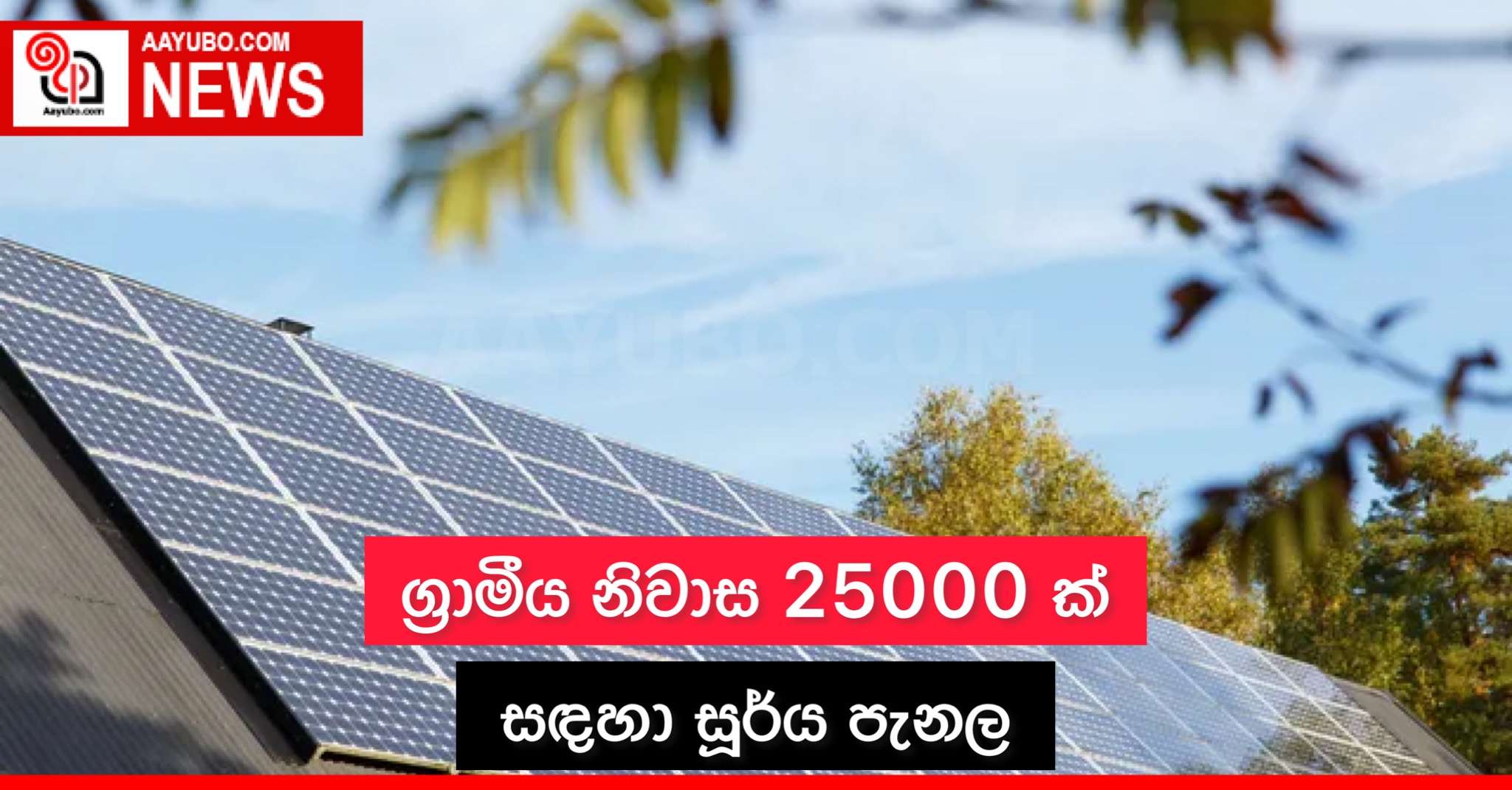 ග්‍රාමීය නිවාස 25000 ක් සඳහා සූර්ය පැනල 