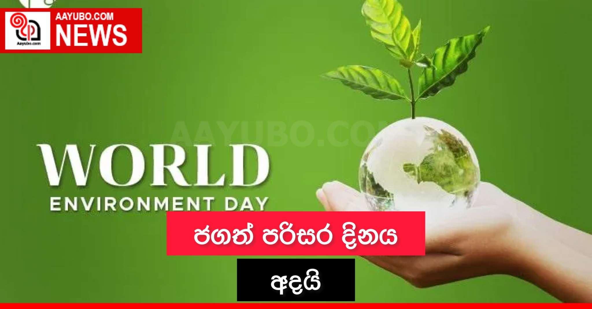 ජගත් පරිසර දිනය අදයි