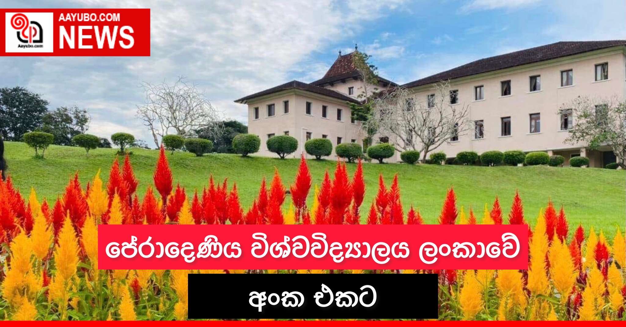 පේරාදෙණිය විශ්වවිද්‍යාලය ලංකාවේ අංක එකට