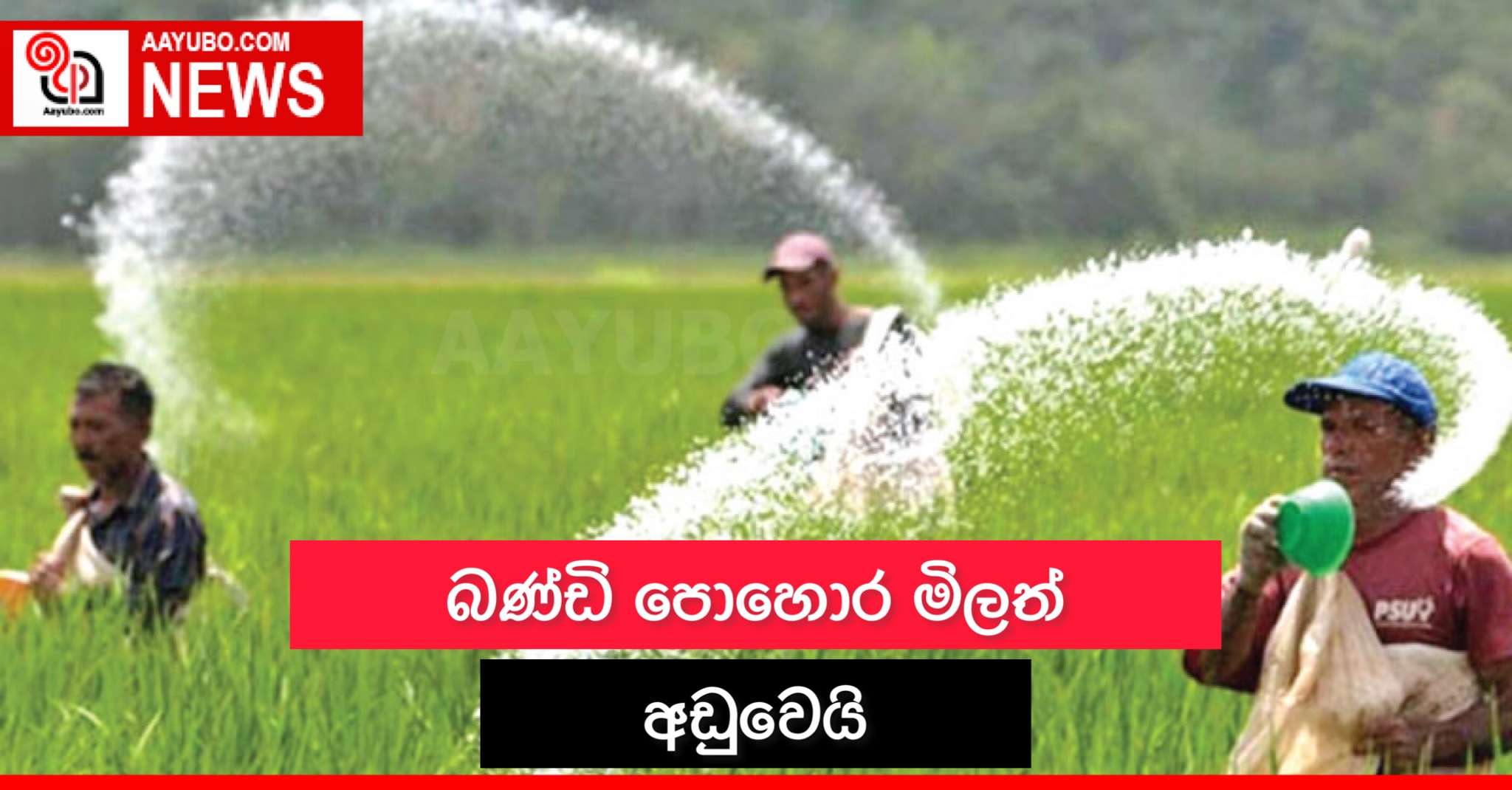 බණ්ඩි පොහොර මිලත් අඩුවෙයි