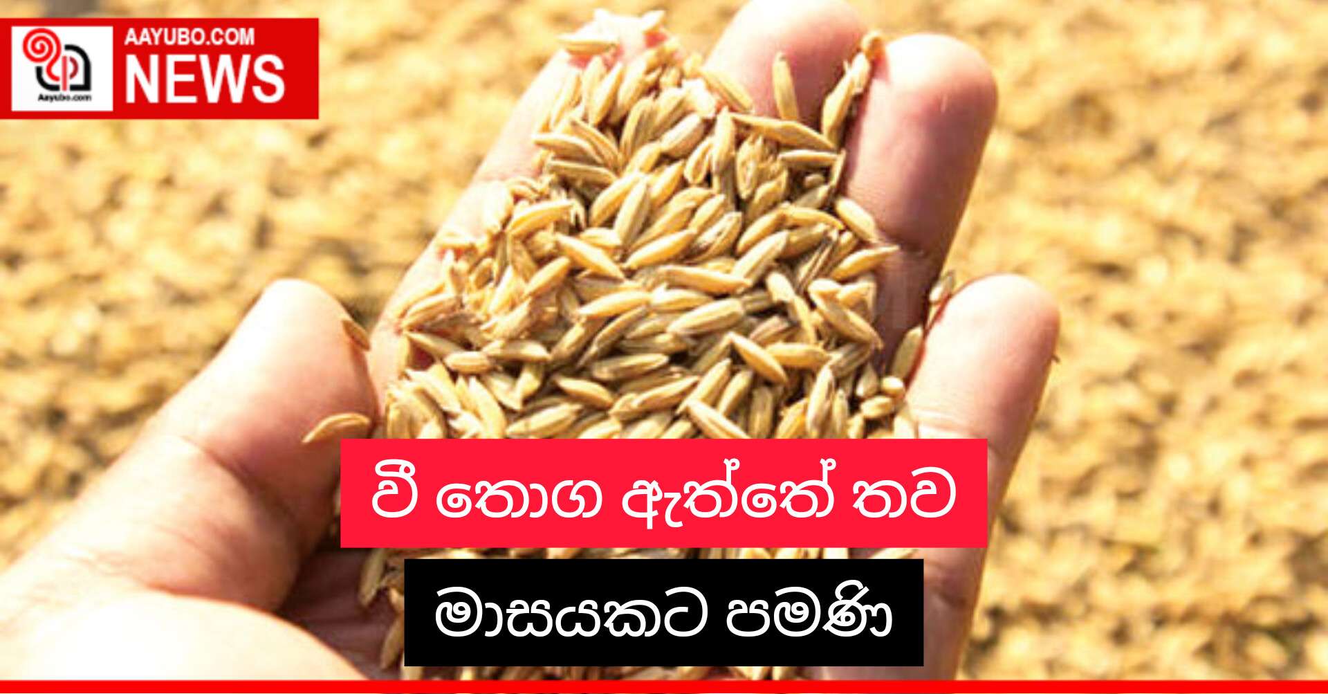 වී තොග ඇත්තේ තව මාසයකට පමණි