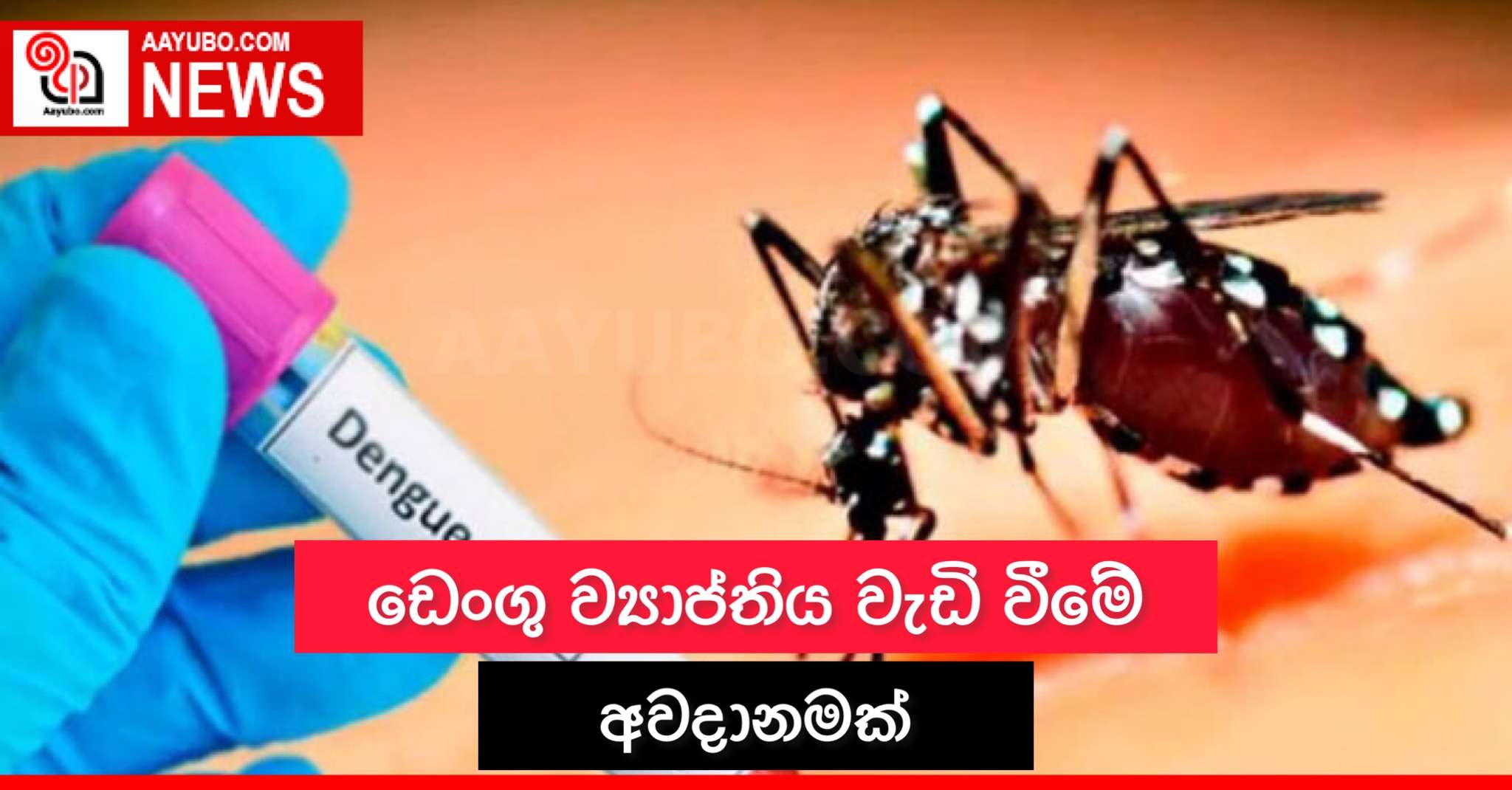 ඩෙංගු ව්‍යාප්තිය වැඩි වීමේ අවදානමක්